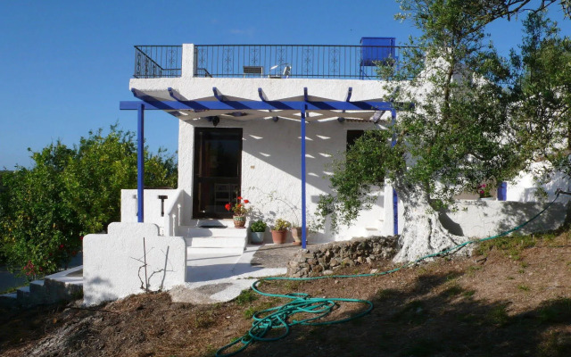 Stefanos Garden