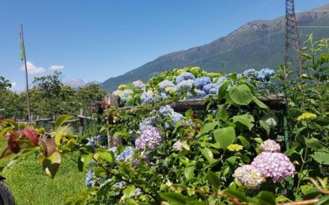 Agriturismo Volpe Golosa