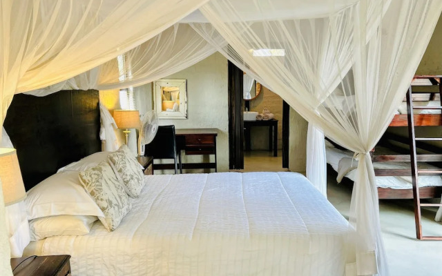 Leadwood Tree Safari Lodge