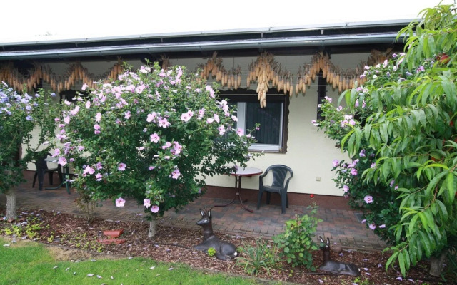 Reihenhaus in Lubben an der Spree