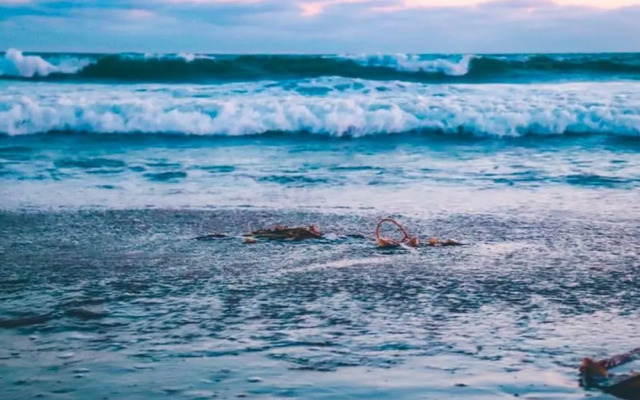 West Coast's Best Sunny Venice Dream Home!