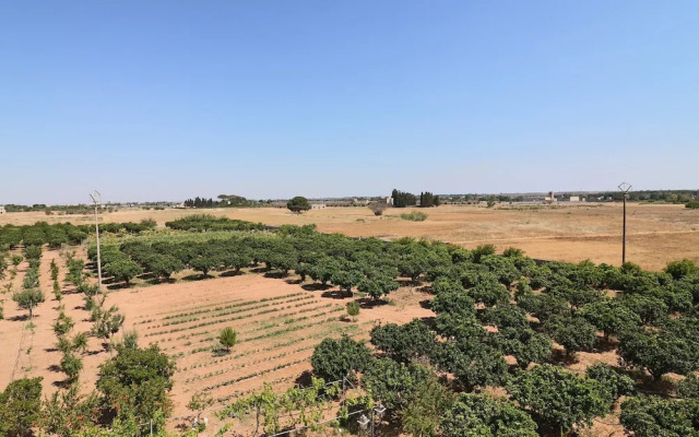 Matrimoniale Budget Navel