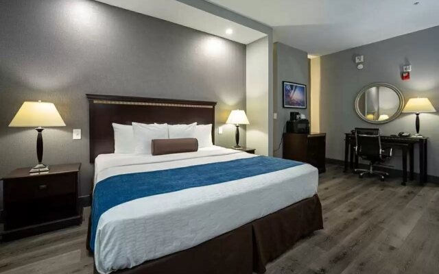 Comfort Suites Seabrook - Kemah