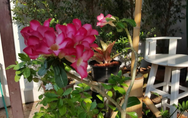 Miracle Boutique Chiang Mai