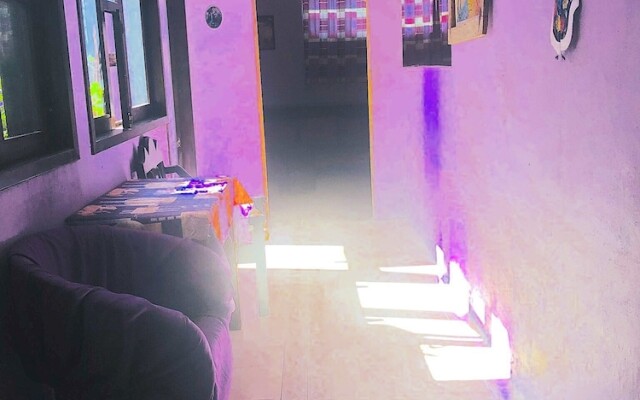 Amazing House of View