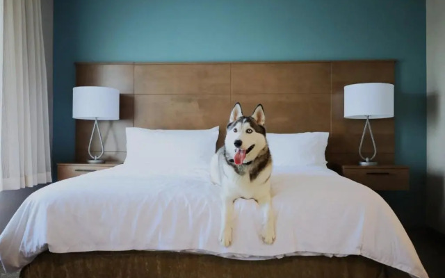 Staybridge Suites Waterloo - St. Jacobs Area by IHG