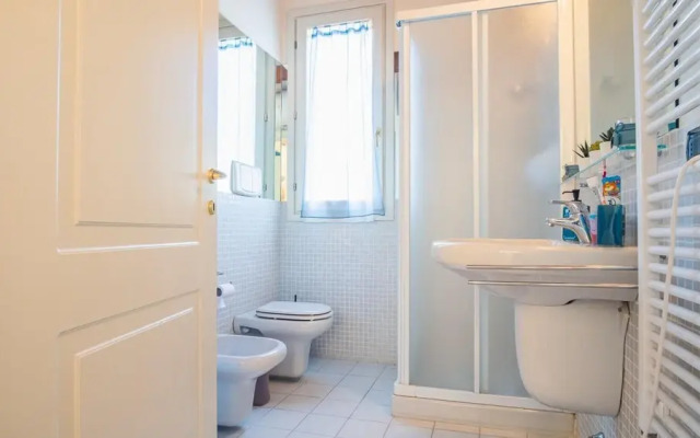 Donna Eloisa - Italian Homing