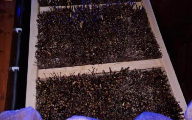 Ośrodek Wypoczynkowy Igor