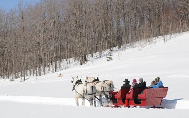 Blue Mountain Resort