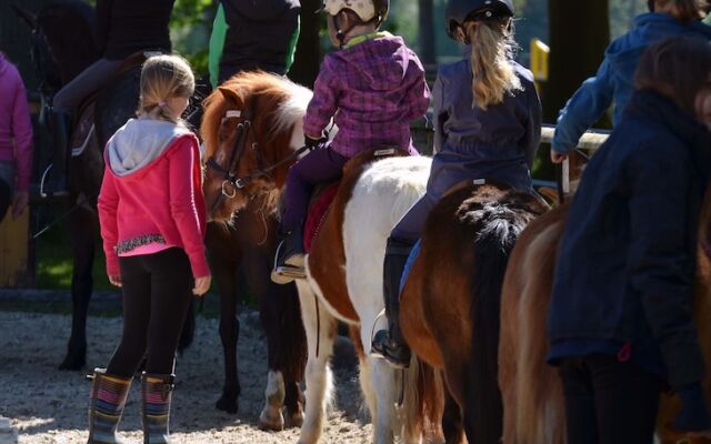 Ponyhof Georgenbruch