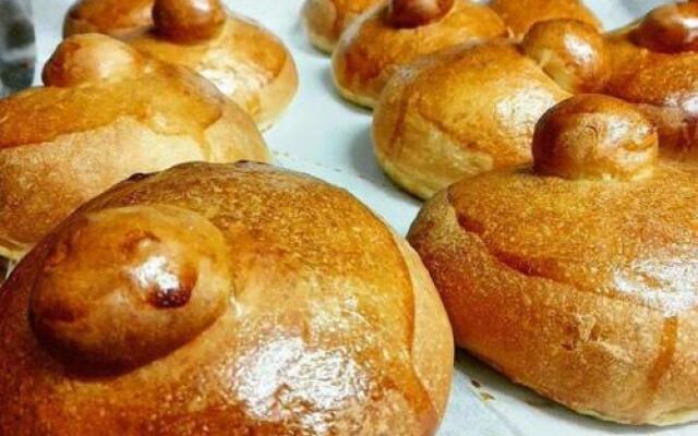 Agriturismo La Casa Di Botro