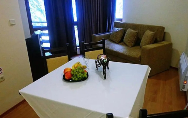 Snowy Dreams Pamporovo Apartments