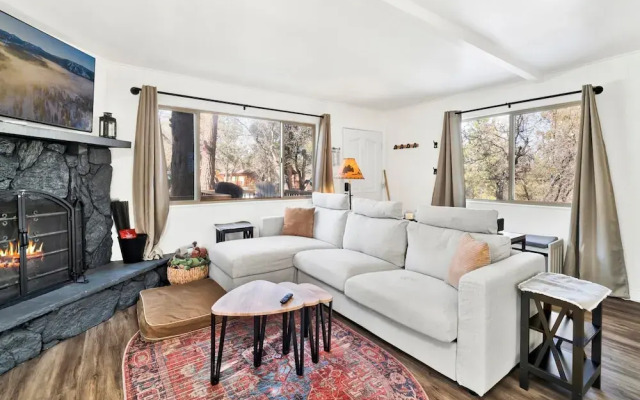 Sugar Bear Crossing #2496