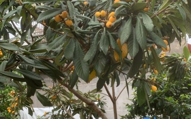 Tiantai Pinyuan Homestay