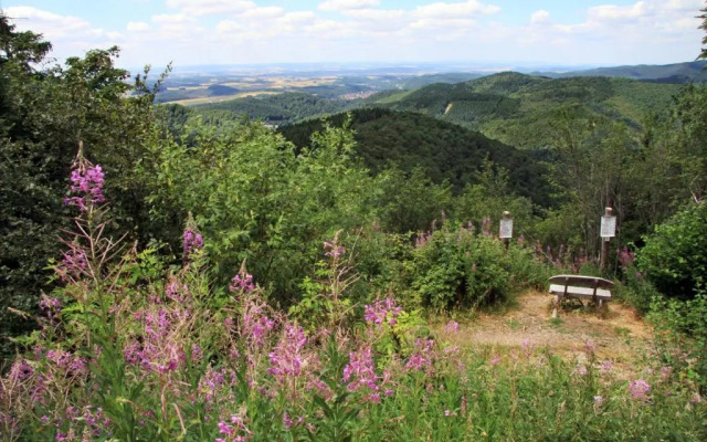 Ferienwohnungen Stricker Harz