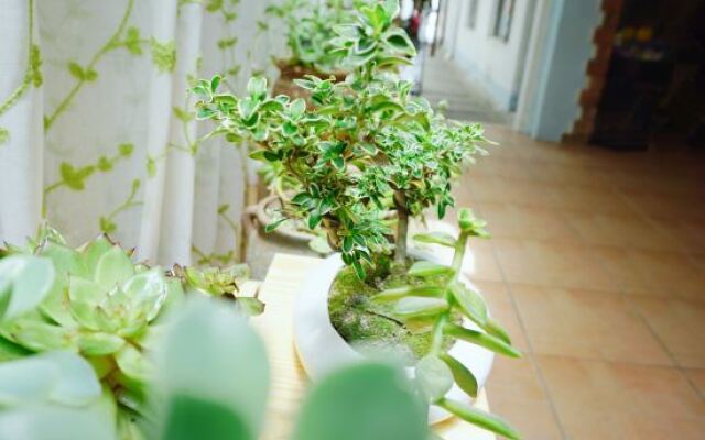 Shiguanguyi Youth Inn