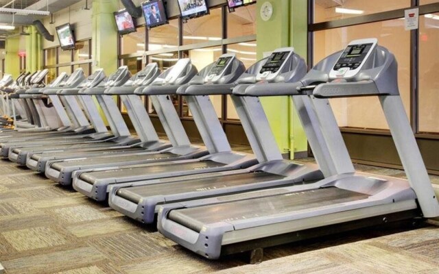 Euclid by Revestment