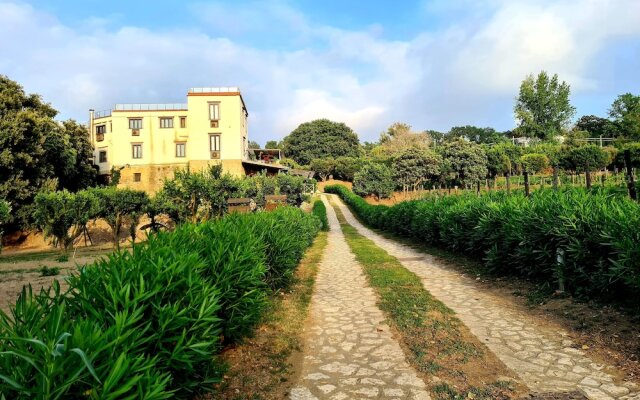 Tenuta Convivium Cuma