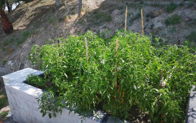 Villa Niccolò with stunning sea view swimming pool