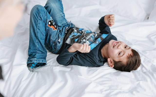 Ibis Cascavel