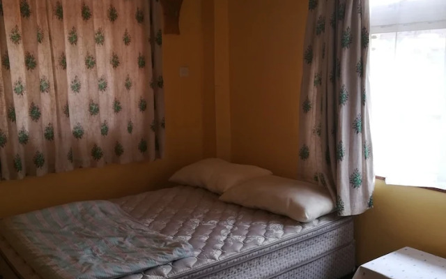 Nyayo homecourts