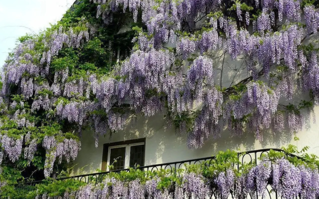 Hotel Rosenhaus Garni