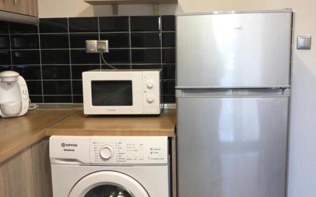 The only luxurious apartment in the center of town