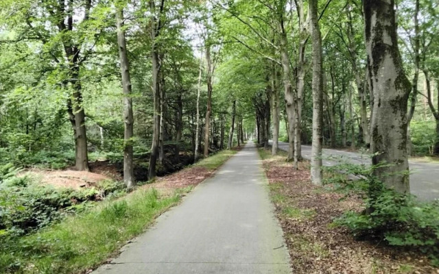 Spacious Home with Garden near Langweerder Wielen