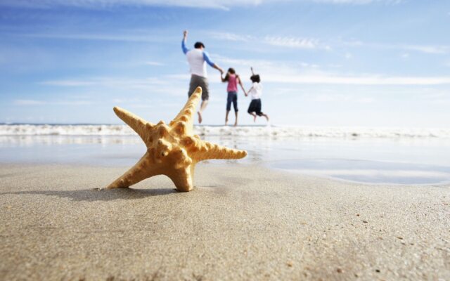 Modern Apartment in Tenby With Swimming Pool