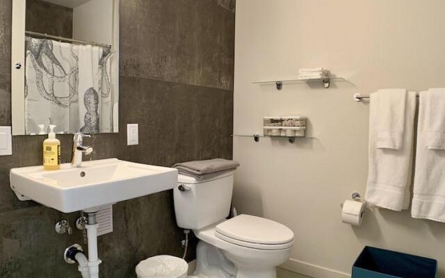 Lofty Studio Prime Cap Hill