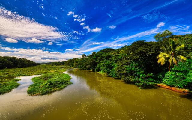 Kairali - The Ayurvedic Healing Village