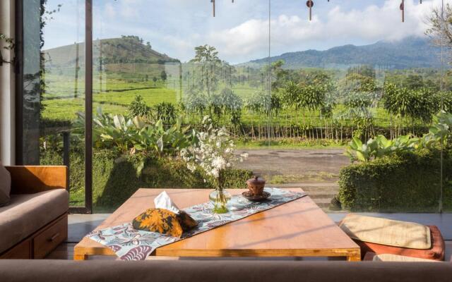 Tea Garden Resort