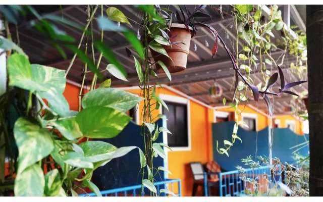 The Casa Nova Goa - Hotel & Art Cafe