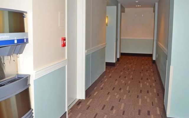 Elation 5513 by RedAwning