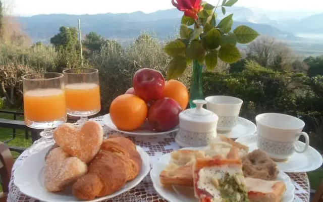 la casa fra gli ulivi
