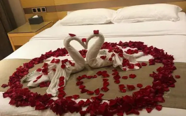 GreenTree Zhixuan Hotel (Hefei Binhu Express Times Square)