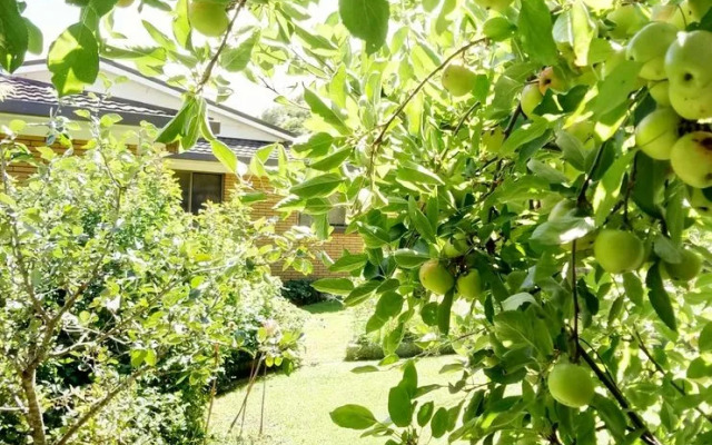 Paeroa Bed and breakfast