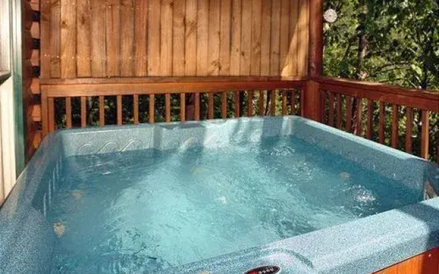 Buddy Bear 249 by Aunt Bug's Cabin Rentals