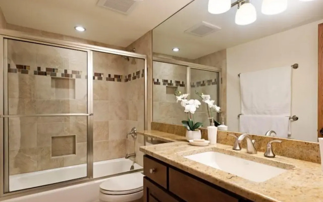 Snowmass Village 2 Bedroom Platinum-rated Ski In, Ski Out Condo
