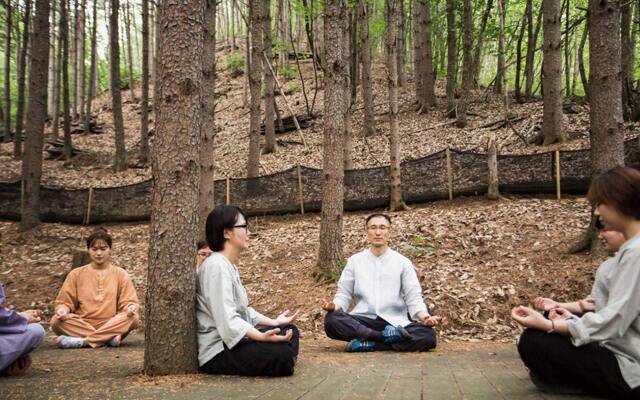 Healience Seon Maeul Healing Resort