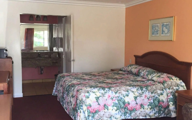 Willow Tree Lodge