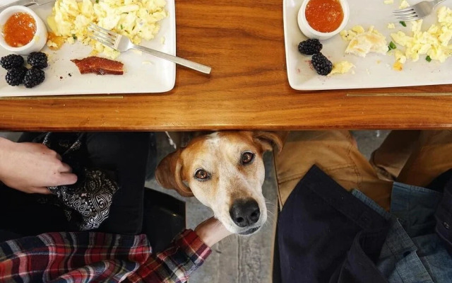 Contemporary Condo Minutes To Downtown Gulch