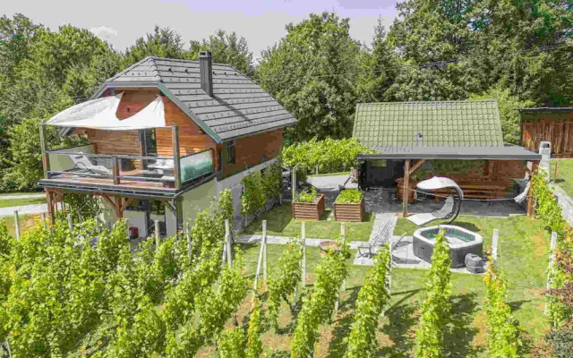 Vineyard cottage Matej