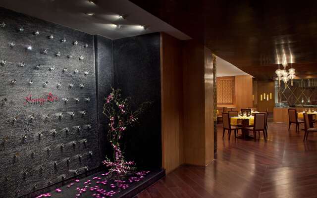 Radisson Blu Plaza Delhi Airport