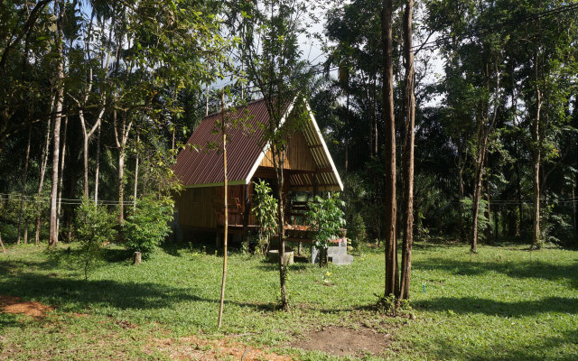 Khao Sok Jungle Resort