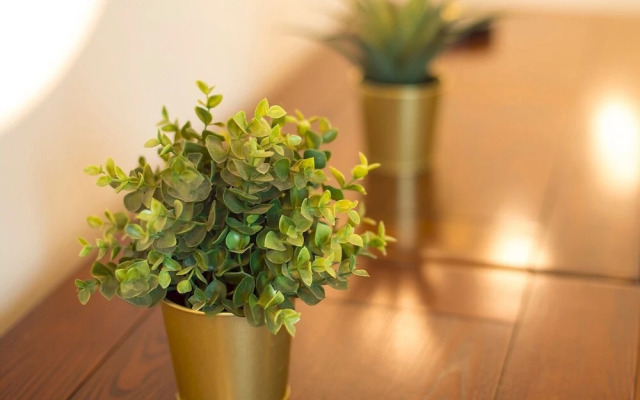 Luxurious 1 Bed Cardiff City Centre Apartment