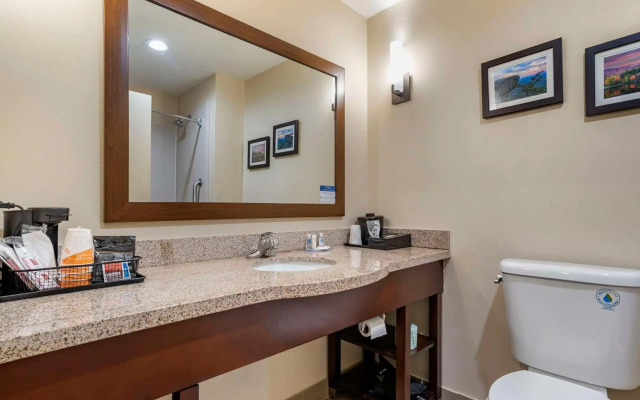 Comfort Suites Pell City I-20 exit 158