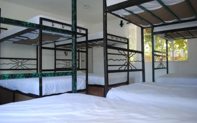 Lobo Inn - Hostel