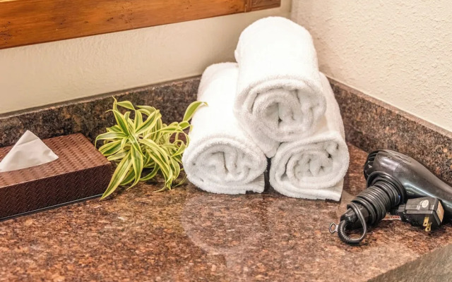 Luana Waikiki by Tropical Escapes Realty