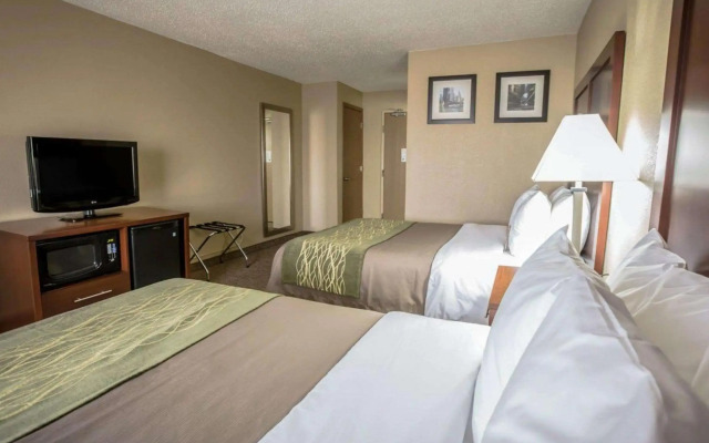 Comfort Inn Morris I-80